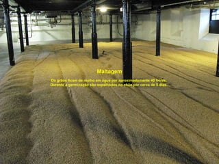 Maltagem
Os grãos ficam de molho em água por aproximadamente 40 horas.
Durante a germinação são espalhados no chão por cerca de 5 dias.
 