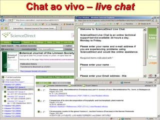 Chat ao vivo –  live chat 