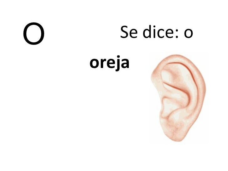 Como Se Dice En Ingles Oreja