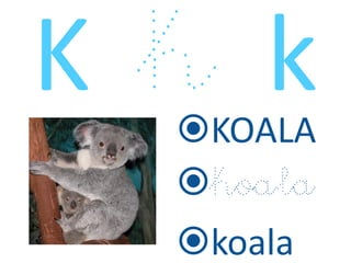 KOALA
koala
koala
 