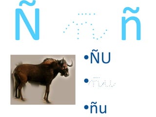 •ÑU
•ñu
•ñu
 