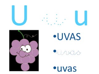 •UVAS
•uvas
•uvas
 