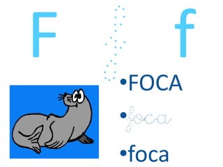 •FOCA
•foca
•foca
 