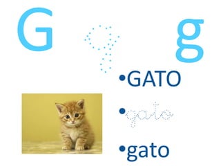 •GATO
•gato
•gato
 