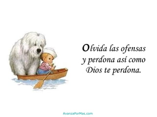 O lvida las ofensas y perdona así como Dios te perdona. AvanzaPorMas.com 