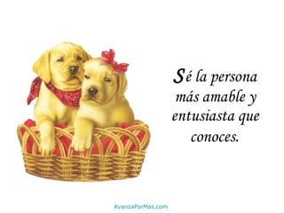 S é la persona más amable y entusiasta que conoces . AvanzaPorMas.com 