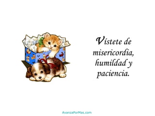 V ístete de misericordia, humildad y paciencia. AvanzaPorMas.com 