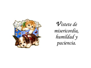 V ístete de misericordia, humildad y paciencia. 