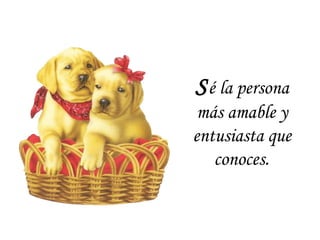 Sé la persona
más amable y
entusiasta que
conoces.
 