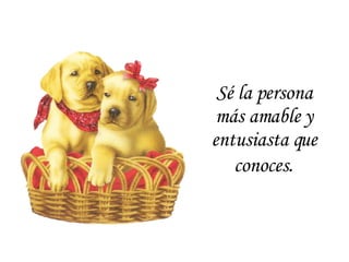 Sé la persona más amable y entusiasta que conoces . 