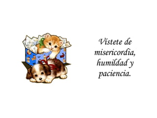 Vístete de misericordia, humildad y paciencia. 