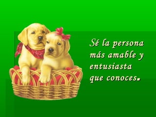 SSé la personaé la persona
más amable ymás amable y
entusiastaentusiasta
que conocesque conoces ..
 