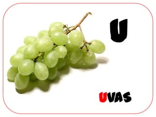 U
UVAS
 