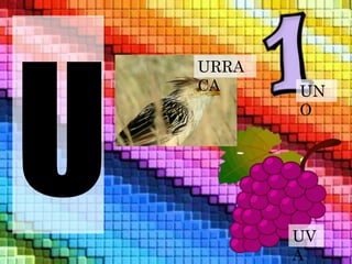 URRA 
CA UN 
O 
UV 
A 
 