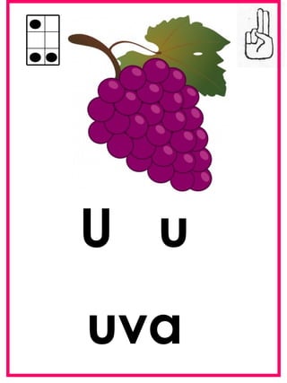 U u
uva
 