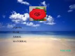 JARDÍN
FLOR
ÁRBOL
MATORRAL


           VOLVER
 