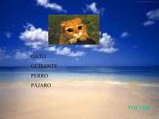 GATO
GUISANTE
PERRO
PÁJARO



           VOLVER
 