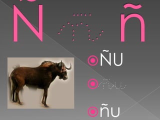 ÑU
ñu
ñu
 