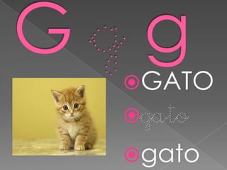 GATO
gato
gato
 