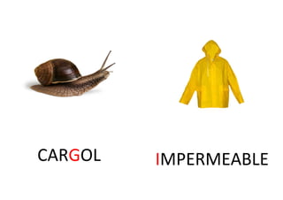 CARGOL IMPERMEABLE
 