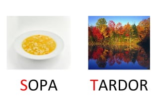 SOPA TARDOR