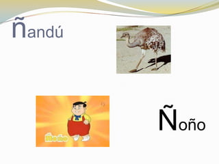 ñandú


        Ñoño
 