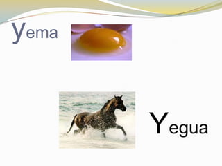yema


       Yegua
 