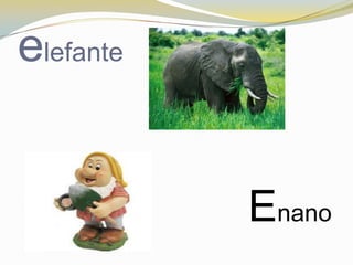 elefante


           Enano
 