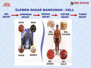 ELEMEN DASAR BANGUNAN : CELL
 SEL     JARINGAN        ORGAN     SISTEM   TUBUH
SEHAT      SEHAT         SEHAT     SEHAT    SEHAT

         BATA    BESI



                             SEL     SEL
                            OTAK   TULANG




         PASIR   SEMEN


                            SEL     SEL
                           DARAH   KULIT
 