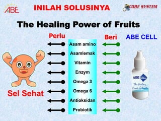 INILAH SOLUSINYA

  The Healing Power of Fruits
            Perlu                 Beri   ABE CELL
                    Asam amino

                    Asamlemak

                      Vitamin

                      Enzym

                     Omega 3

                     Omega 6
Sel Sehat
                    Antioksidan

                     Probiotik
 