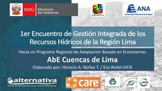 Hacia un Programa Regional de Adaptación Basada en Ecosistemas
AbE Cuencas de Lima
Elaborado por: Horacio A. Núñez T. / Eco Redd-UICN
 