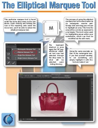 This particular marquee tool is found
under the same drop menu as the one
above. Upon clicking and holding the
icon of the marching ants under the
move tool, you’ll be able to select the
elliptical marquee tool.
The keyboard
shortcut is once
again the “M” key;
whichever ellipti-
cal tool was last
selected through
the drop menu is
what will be
selected upon
hitting this key.
The process of using the elliptical
marquee tool is the exact same as
its rectangular counter part.
Simply click and drag your mouse
to highlight an area. This time the
area will be a circle as opposed to
a rectangle. This tool is also used
for highlighting areas within your
workstation, which can then be
modified via the edit menu.
Using the same example as
that of the rectangular tool,
if you find yourself wanting
to cut something, you
simply highlight it with the
tool and select ‘cut.’
The Elliptical Marquee ToolThe Elliptical Marquee Tool
 