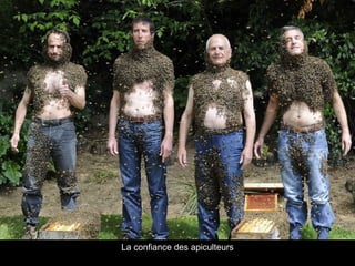 La confiance des apiculteurs
 