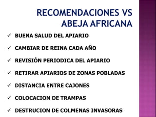  BUENA SALUD DEL APIARIO
 CAMBIAR DE REINA CADA AÑO
 REVISIÓN PERIODICA DEL APIARIO
 RETIRAR APIARIOS DE ZONAS POBLADAS
 DISTANCIA ENTRE CAJONES
 COLOCACION DE TRAMPAS
 DESTRUCION DE COLMENAS INVASORAS
 