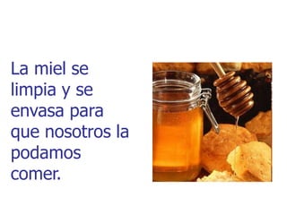 La miel se
limpia y se
envasa para
que nosotros la
podamos
comer.
 
