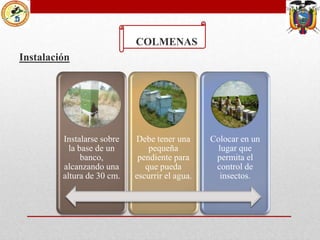 COLMENAS
Instalación

Instalarse sobre
la base de un
banco,
alcanzando una
altura de 30 cm.

Debe tener una
pequeña
pendiente para
que pueda
escurrir el agua.

Colocar en un
lugar que
permita el
control de
insectos.

 