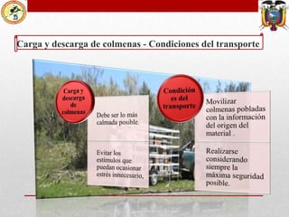 Carga y descarga de colmenas - Condiciones del transporte

 