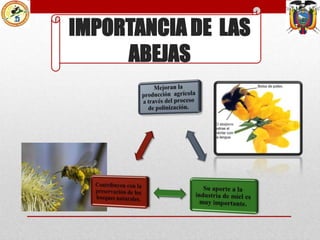 IMPORTANCIA DE LAS
ABEJAS

 