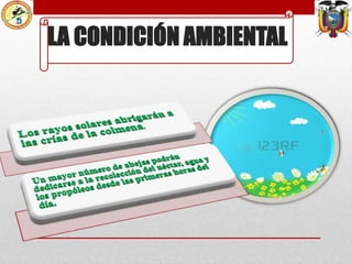 LA CONDICIÓN AMBIENTAL

 