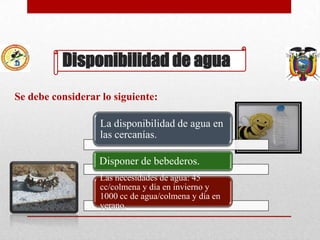 Disponibilidad de agua
Se debe considerar lo siguiente:
La disponibilidad de agua en
las cercanías.
Disponer de bebederos.
Las necesidades de agua: 45
cc/colmena y día en invierno y
1000 cc de agua/colmena y día en
verano.

 