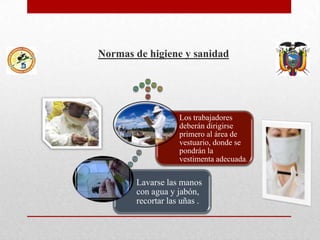 Normas de higiene y sanidad

Los trabajadores
deberán dirigirse
primero al área de
vestuario, donde se
pondrán la
vestimenta adecuada.

Lavarse las manos
con agua y jabón,
recortar las uñas .

 