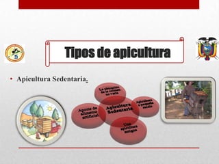 Tipos de apicultura
• Apicultura Sedentaria.

 