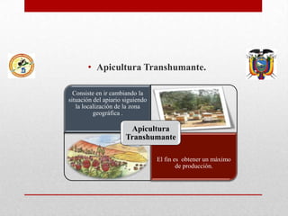 • Apicultura Transhumante.
Consiste en ir cambiando la
situación del apiario siguiendo
la localización de la zona
geográfica .

.

Apicultura
Transhumante
.

El fin es obtener un máximo
de producción.

 