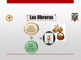 Las Obreras

 