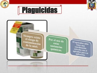 Plaguicidas

 