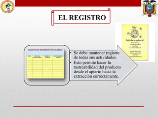 EL REGISTRO

.

• Se debe mantener registro
de todas sus actividades.
• Esto permite hacer la
rastreabilidad del producto
desde el apiario hasta la
extracción correctamente.

 