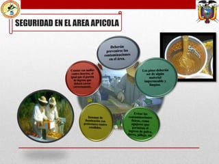 SEGURIDAD EN EL AREA APICOLA

 