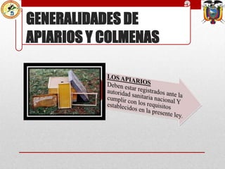 GENERALIDADES DE
APIARIOS Y COLMENAS

 