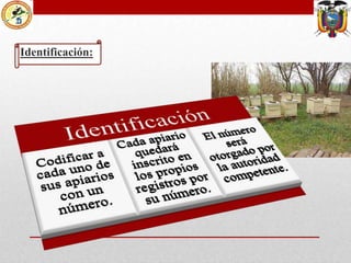 Identificación:

 