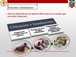 Ubicación e Instalaciones:
• Para la ubicación de un apiario debe tenerse en cuenta que
no exista riesgo por:

 